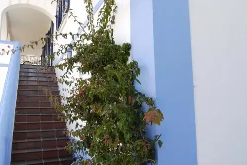 Casa Azul