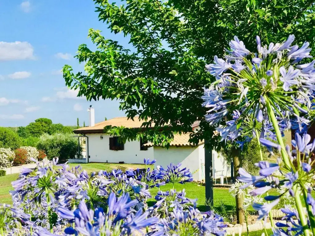 La collina delle fonti