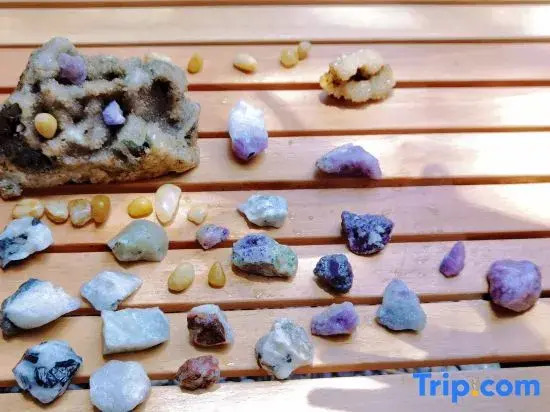 Yuezhu · Rock Desert Landscape · Pet Paradise · Team Building Party Villa Boutique Stay