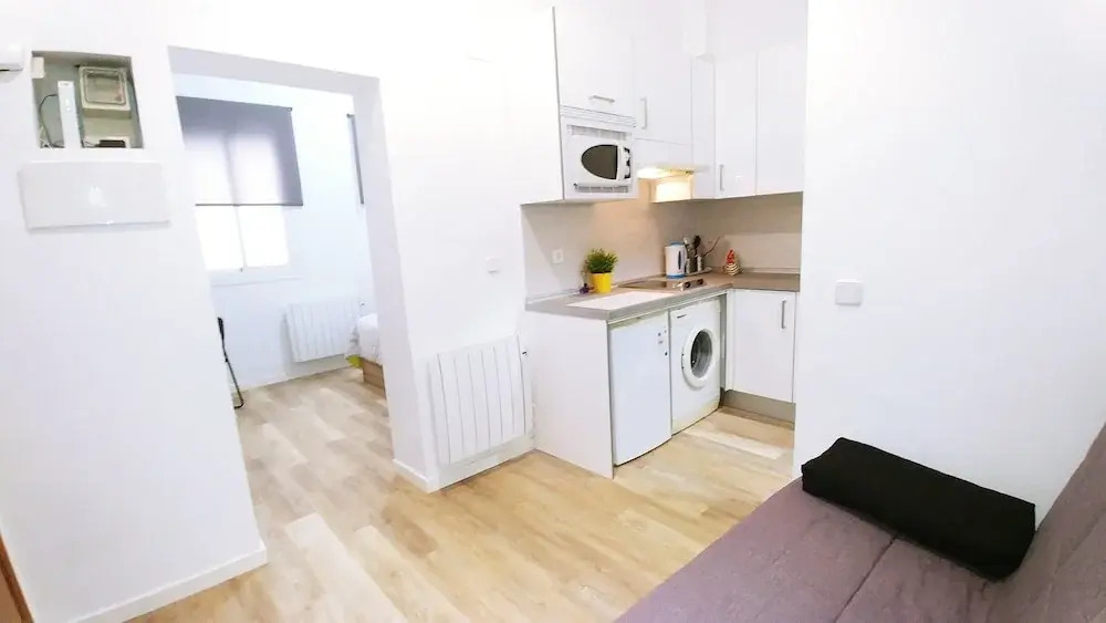 Luxury Flat Lavapies