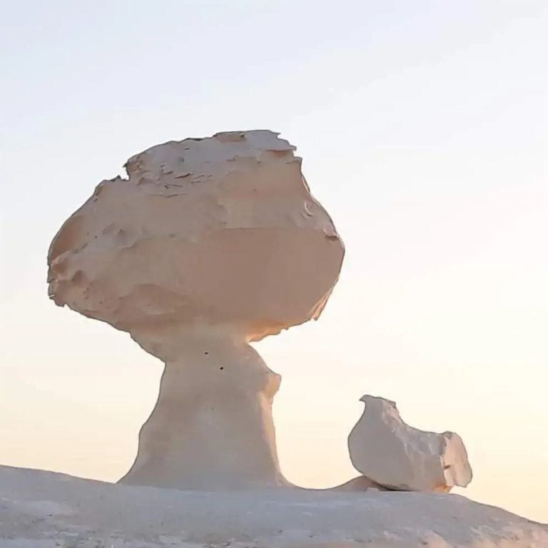 White Desert Camp