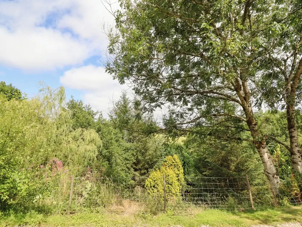Red Kite at Wild Valley Huts