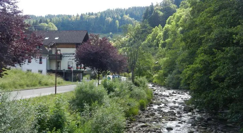 Ferienwohnungen in Schönmünzach