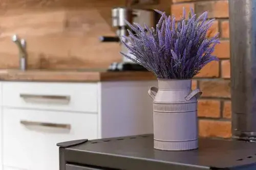 Apartman Elise
