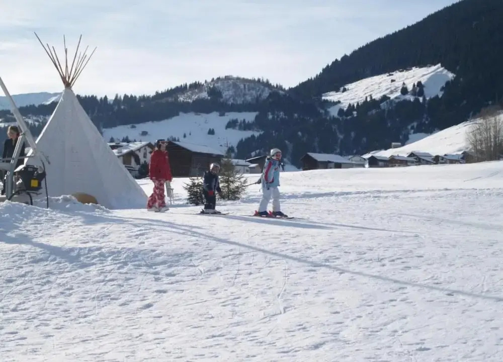 Segnas Mountain Apartment