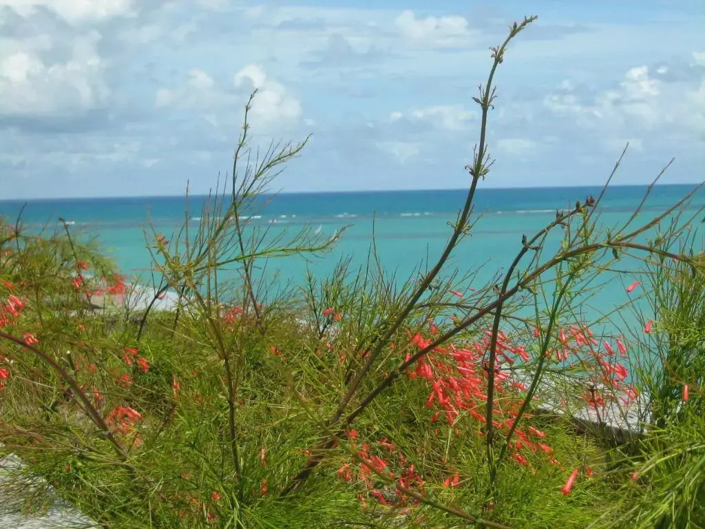 Apartamento Na Praia Port Ville Pajuçara Maceió