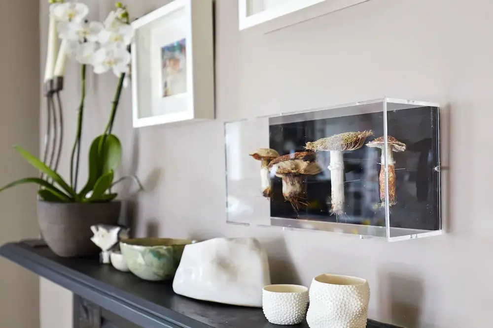 Stylish Fulham Family home