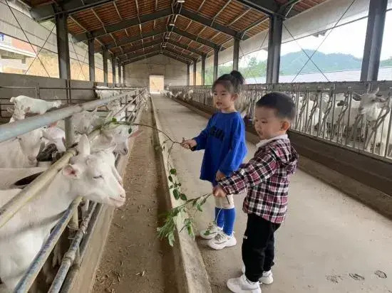 Hangzhou Qingye Homestay