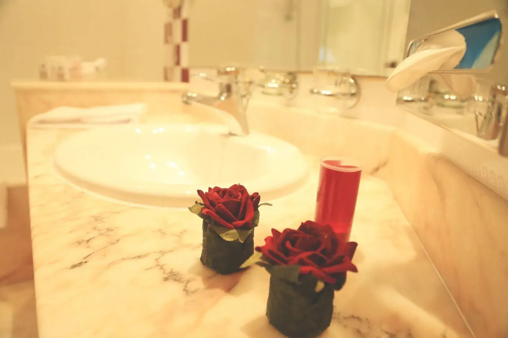 Regency Tunis Hotel