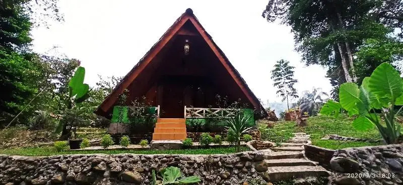 Green Forest Tangkahan