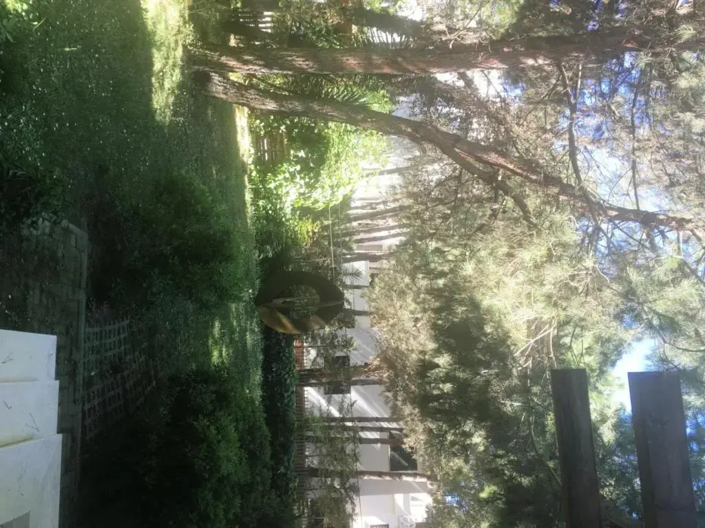 Miro Villa