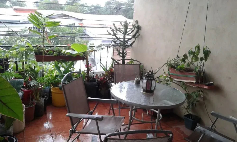 Costa Rica Love Apartments & Rooms