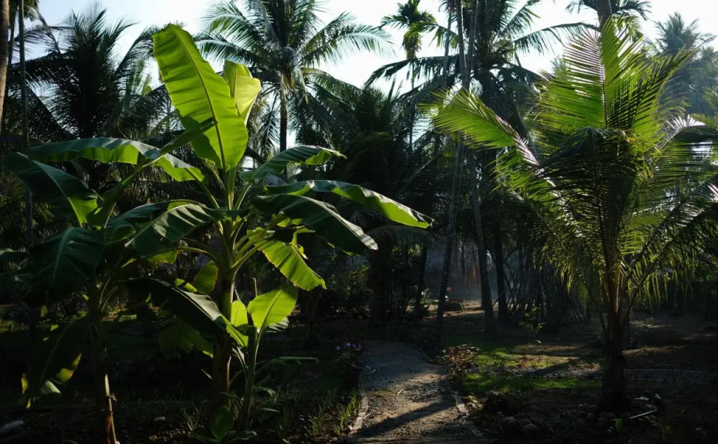 Mekong Home