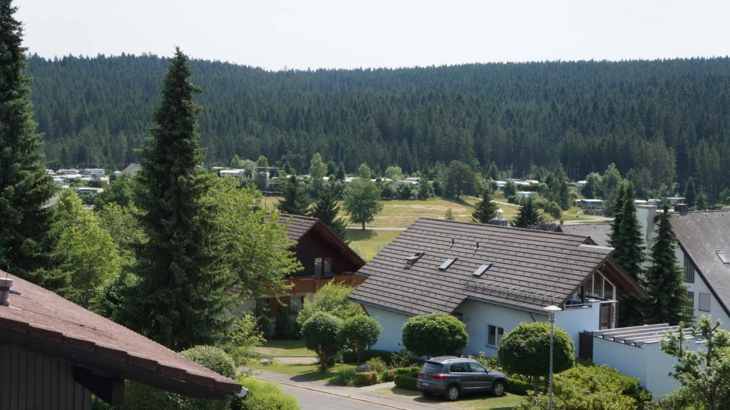 Waldblick