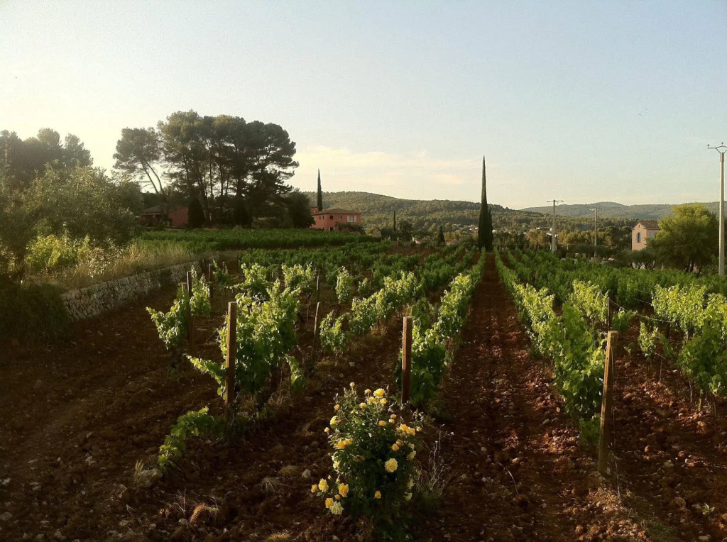 Domaine Rabiega - Vineyard and Boutique hotel