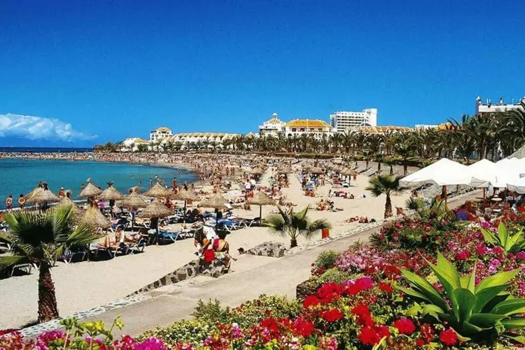 Nice Studio Bart 50 Meters From Playa las Vistas (Adults Only)