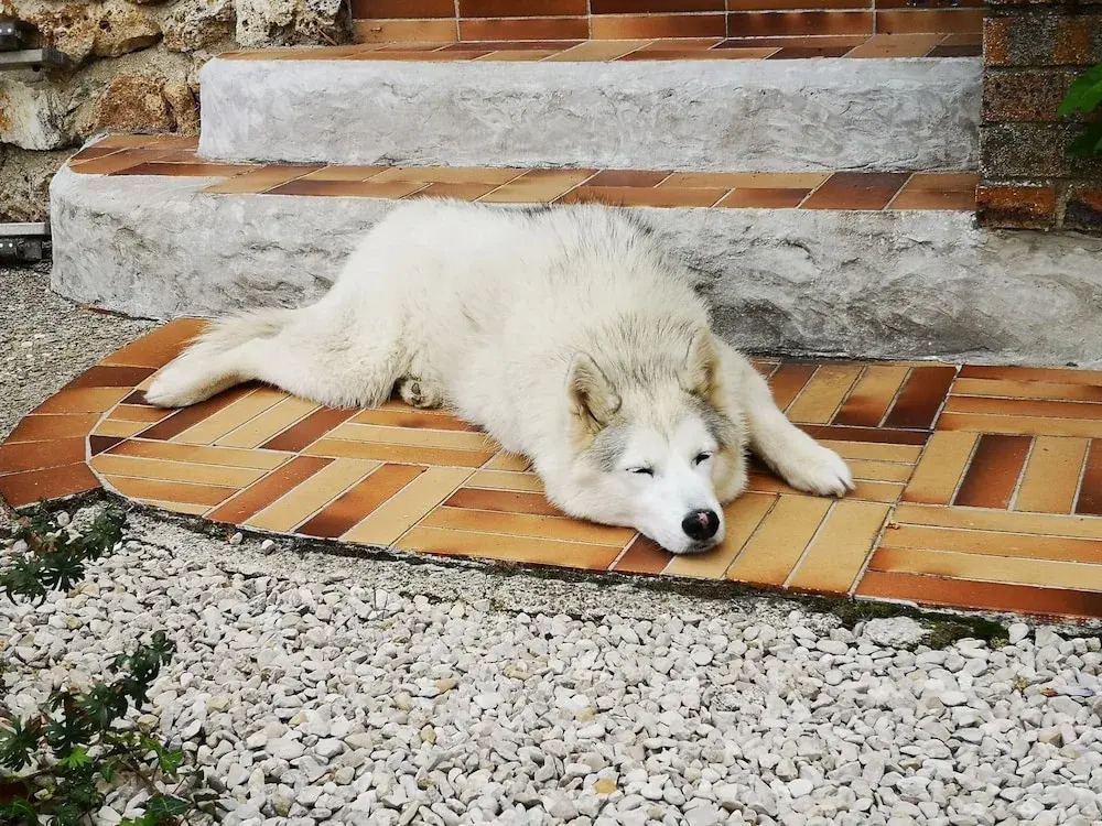 Le Temps D'une Pause à Boursault