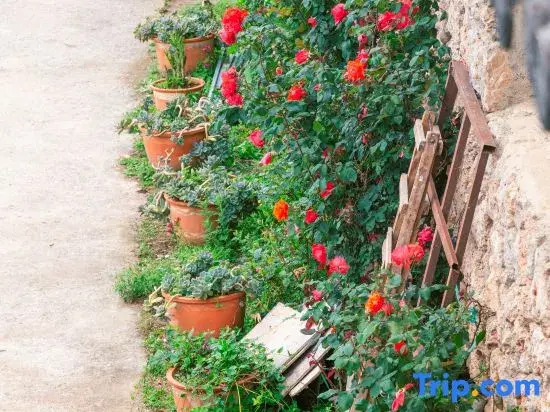 Weijianshan Homestay