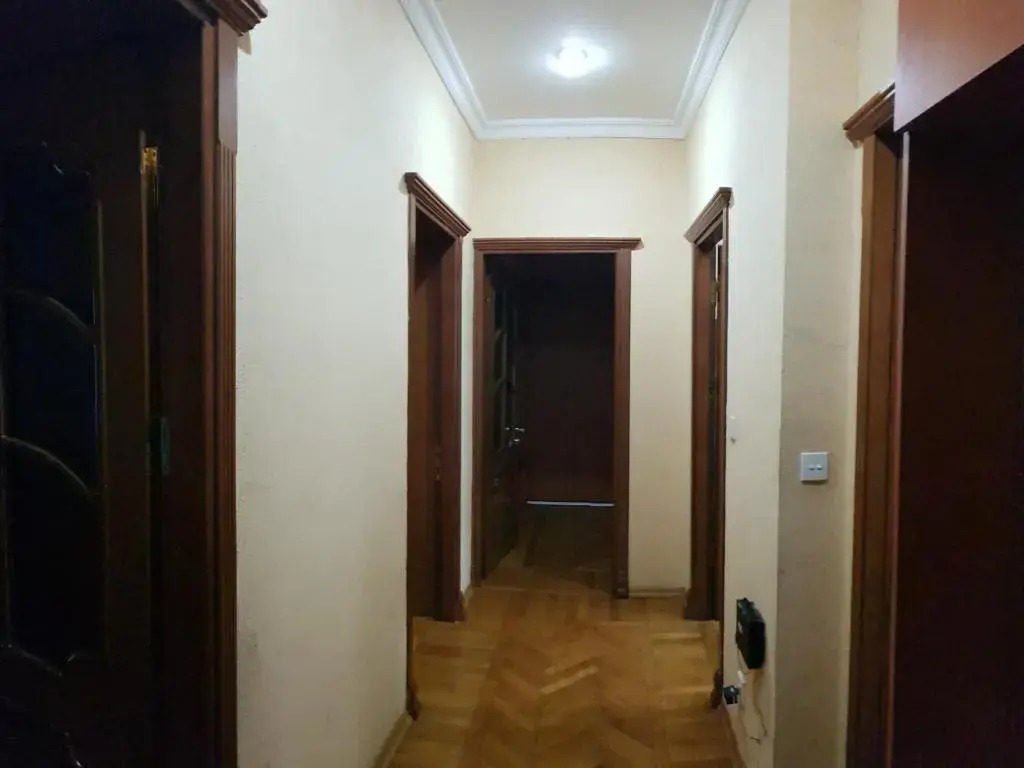 Deluxe Formula Apartment on Nizami Street