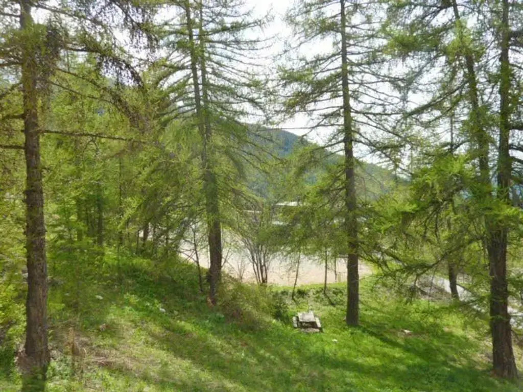 Appartement Les Orres, 1 pièce, 6 personnes - FR-1-322-290