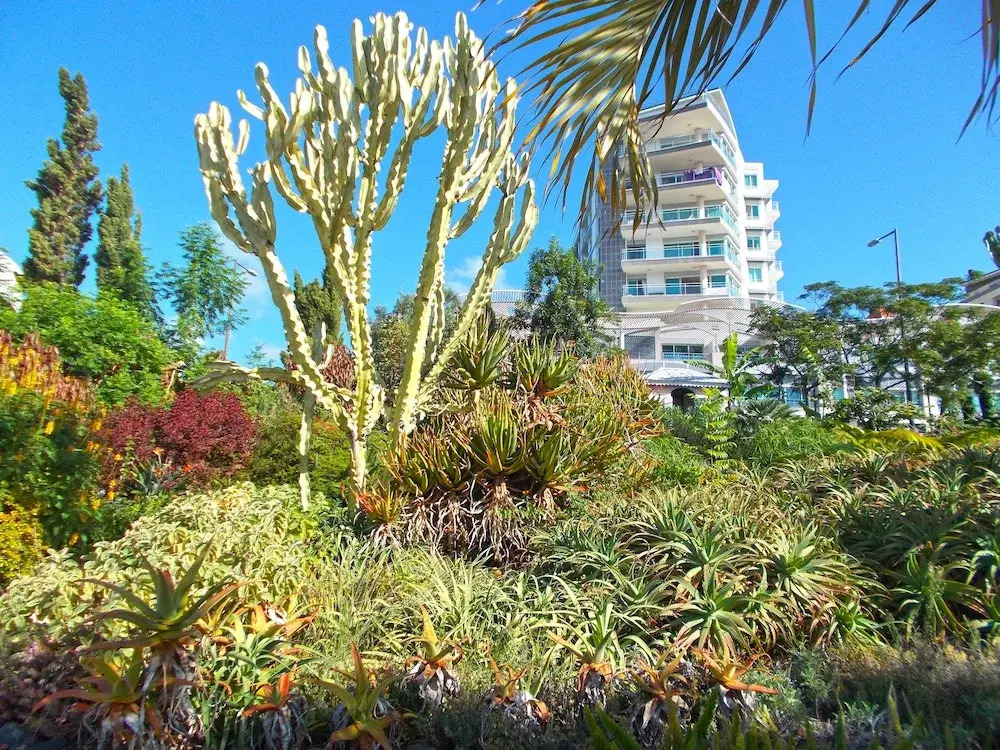 Oceanside Terrace Apartment by Holiday Rental Management
