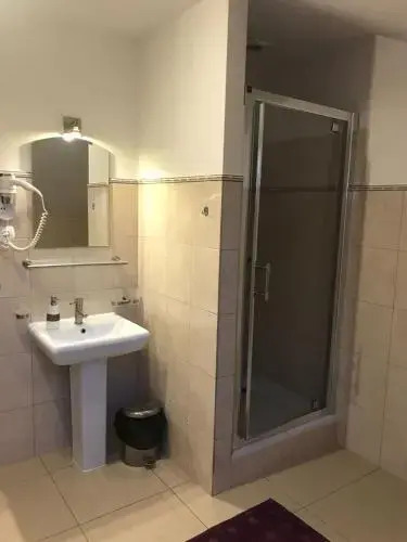 Sokół