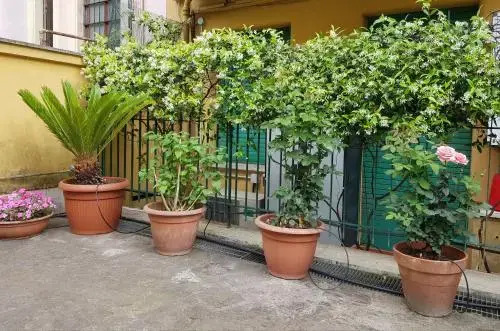 Jubilee 3 Luxury apartment in Rome Vatican