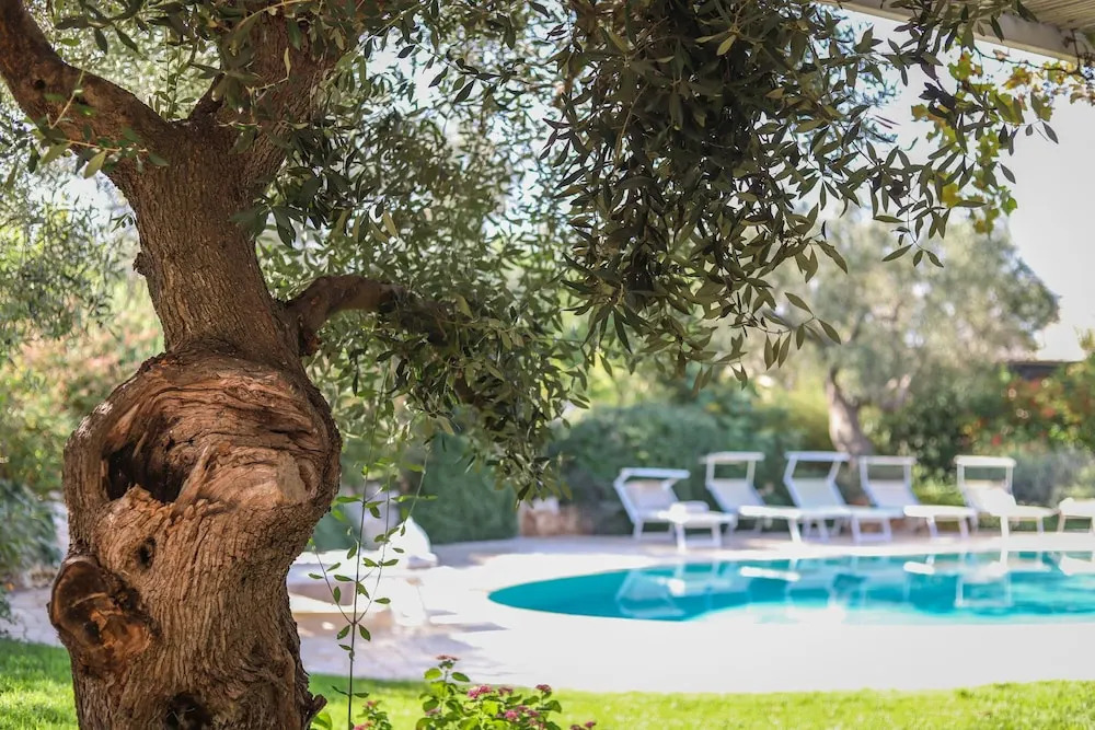 TD Il Vecchio Fienile Outdoor Kitchen wPool View