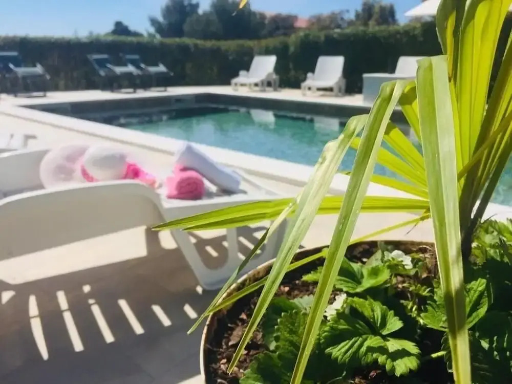 Pool - Swimming Pool and Grill - A1