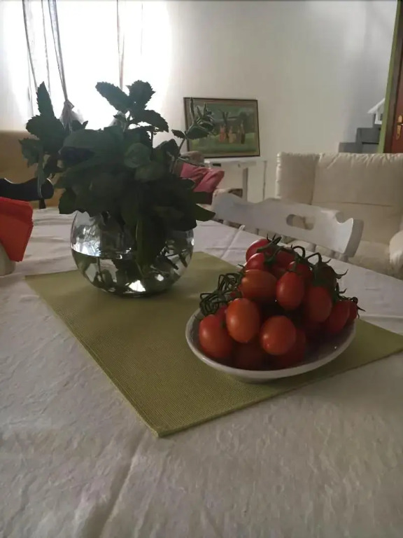 AGRIB&B Il Pomo doro