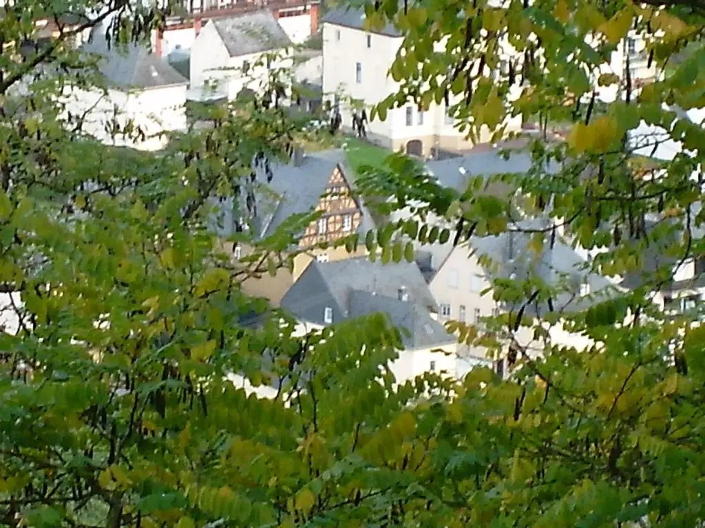Moselvilla Enkirch