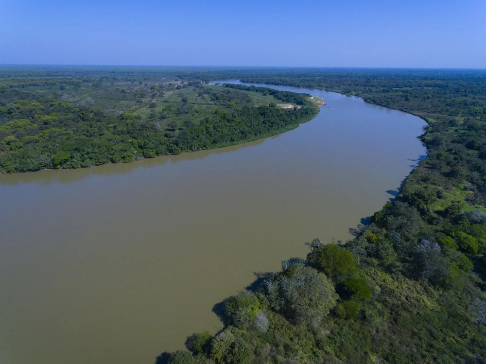 Porto Jofre Pantanal