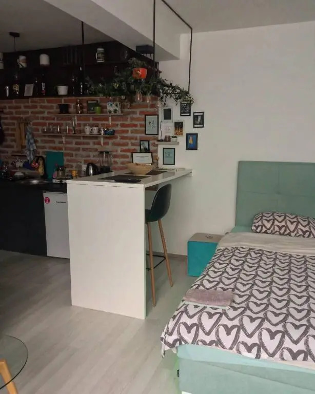 Park Apartment