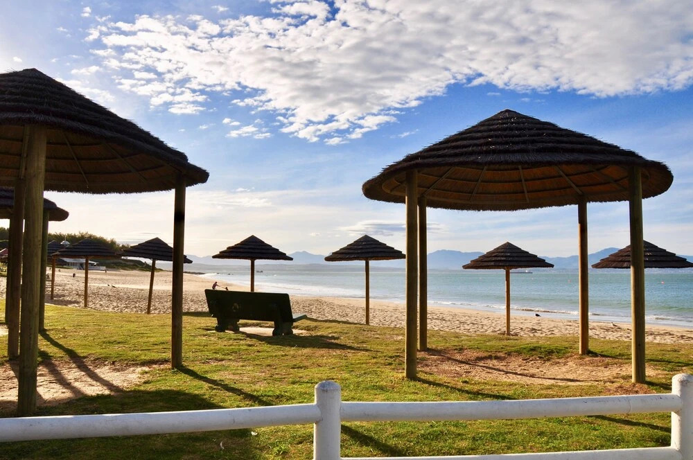 Mossel Bay Muse