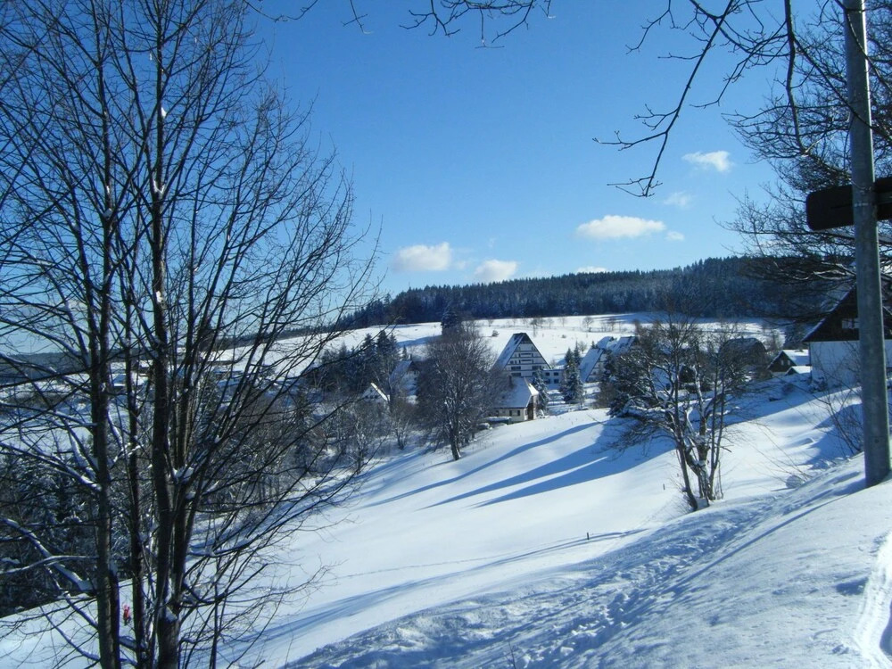 Charming Apartment in Schonwald im Schwarzwald With Sauna