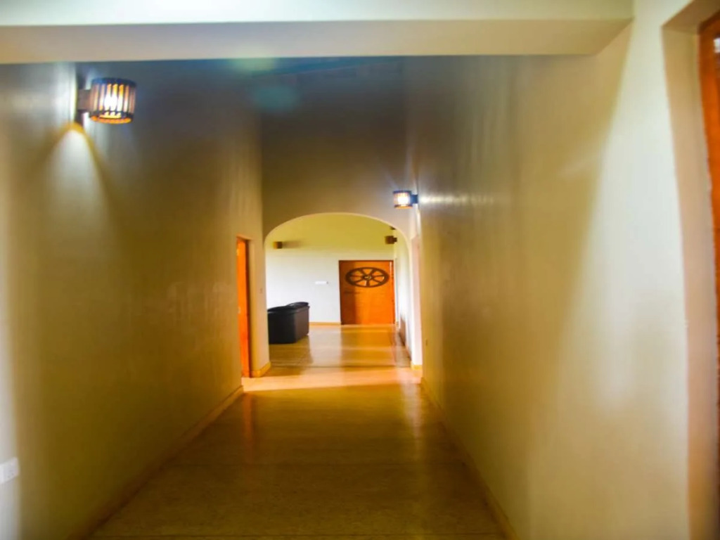 Hotel Lion Nature