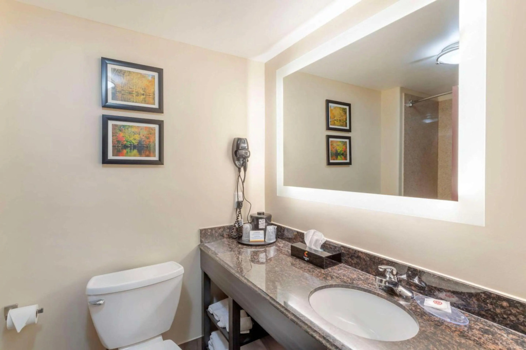 Comfort Inn Orange I-10