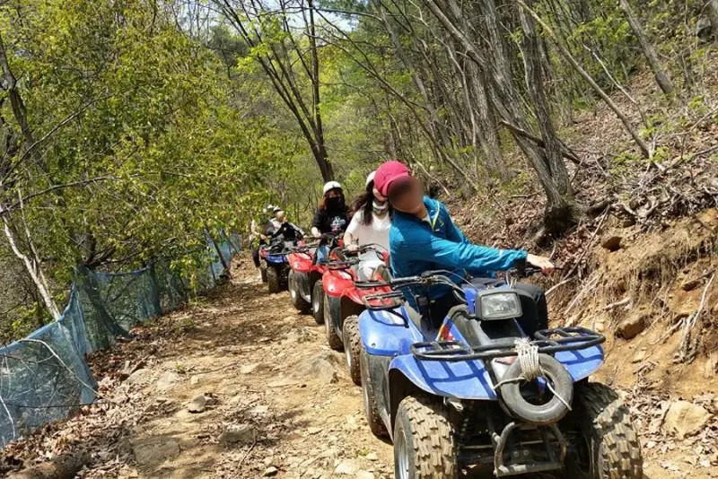 Gapyeong Yullimdongsan Pension