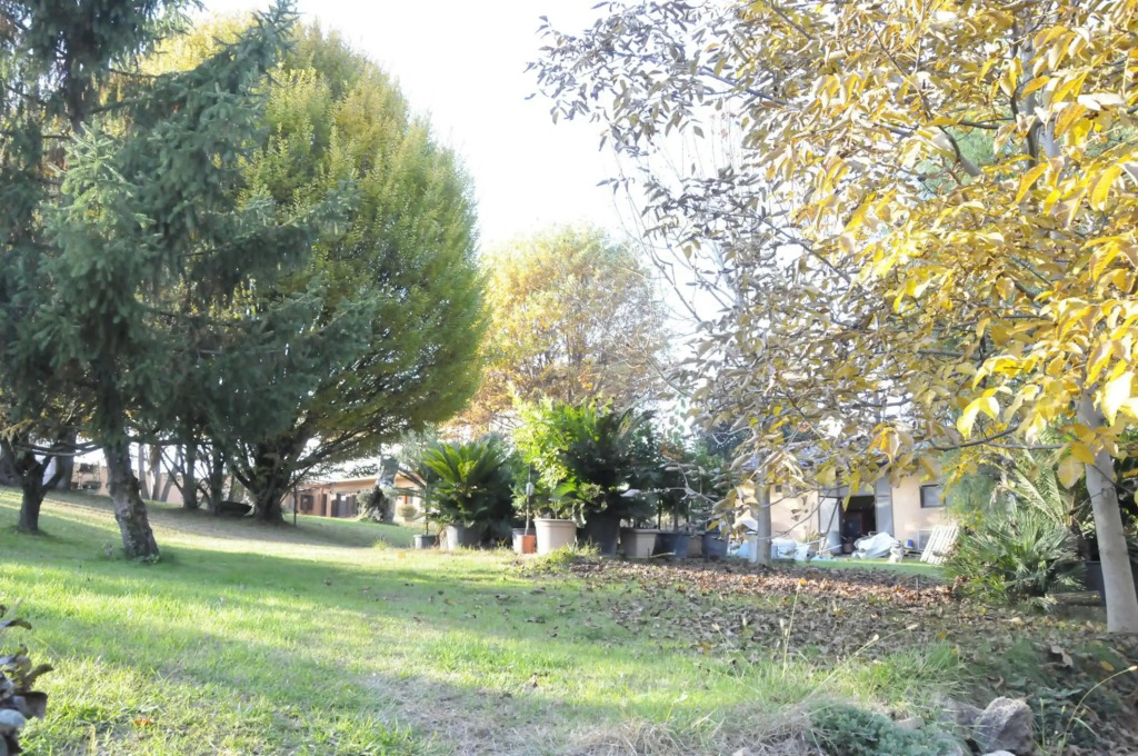 Cascina With Swimming Pool