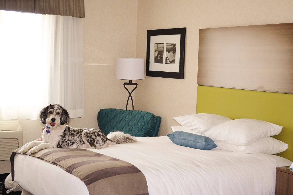 Best Western DuBois Hotel