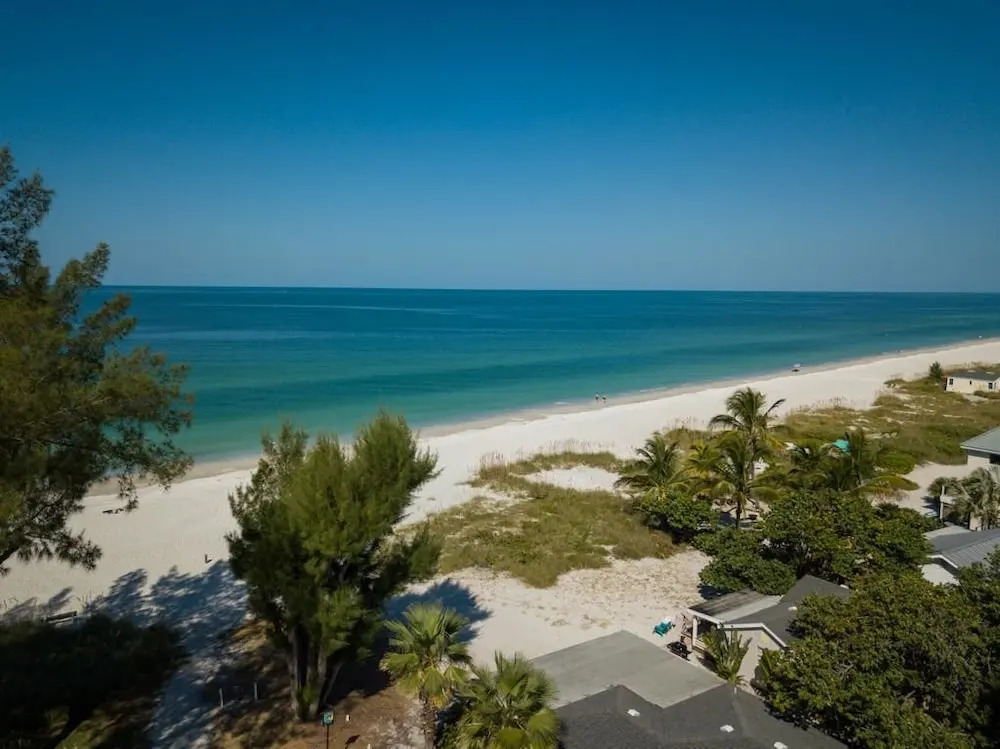 Palm Cay 4