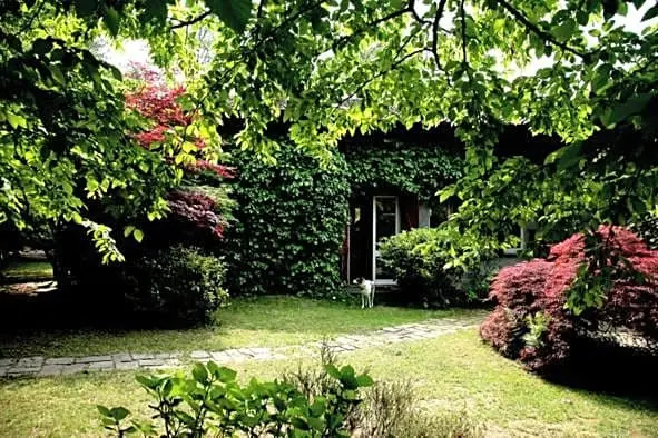 B&B LAlbero Maestro
