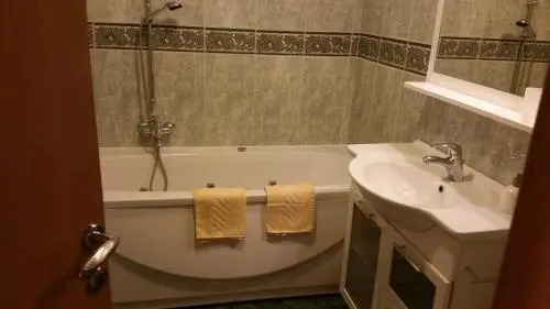 Apartment Brina