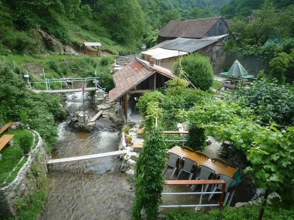Coldea Mioritica