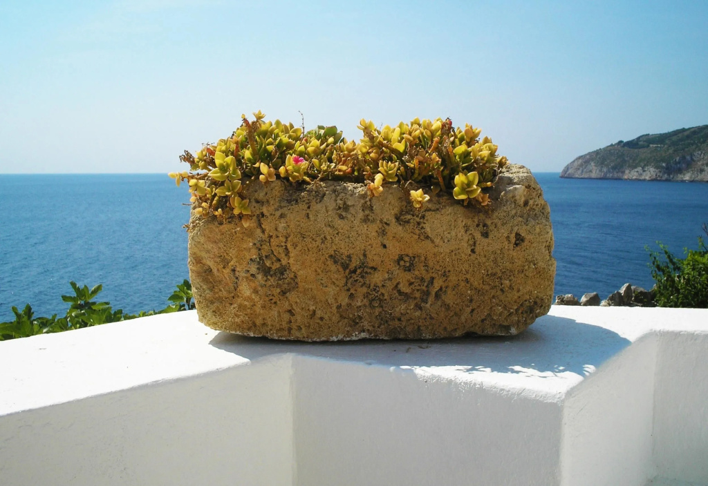 Artisti Dream sea House at Ciolo