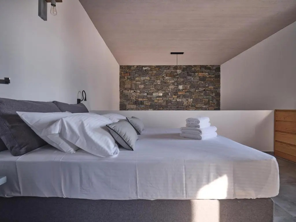Villa Olea & Ramus Paros