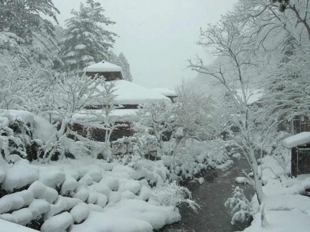 Houshi Onsen Chojukan