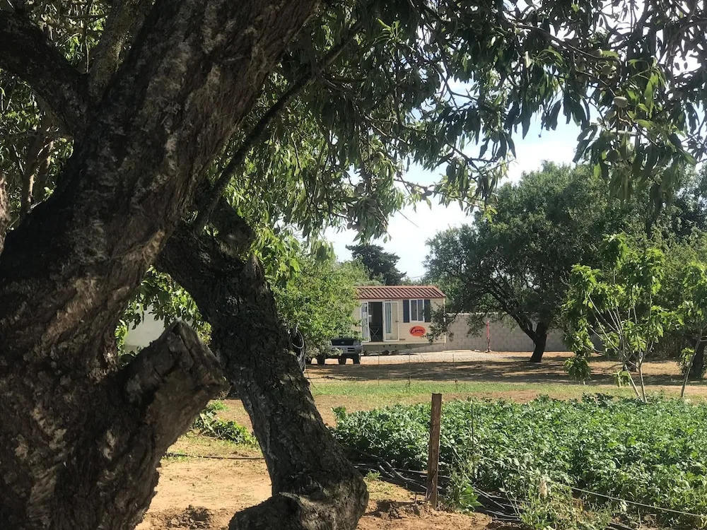 Tiny Casa - Mobile House