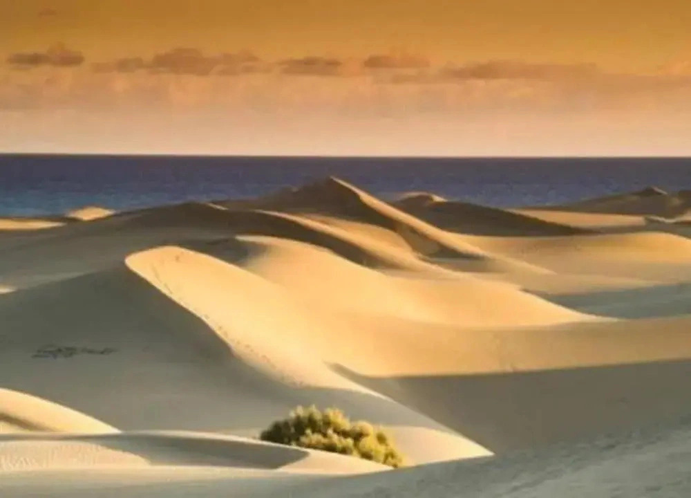 Apartment in Maspalomas Near the Beach