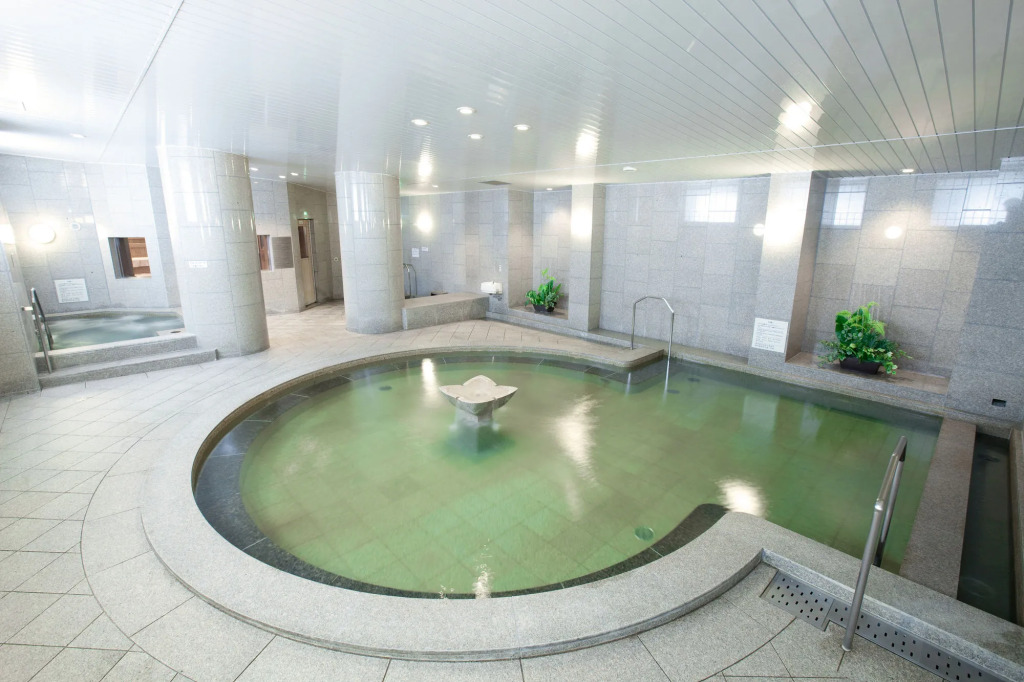 HOTEL MYSTAYS PREMIER Sapporo Park